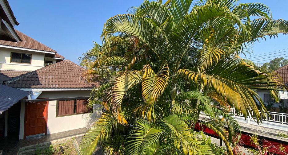 À louer et à vendre 5 chambres maison à Mae Rim, Chiang Mai