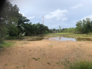 For sale land in Takua Pa, Phang Nga