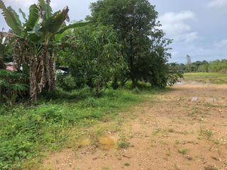 For sale land in Takua Pa, Phang Nga