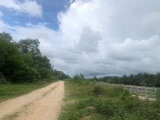 出售 土地 在 Takua Pa, Phangnga