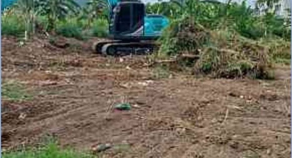For sale land in Takua Pa, Phang Nga