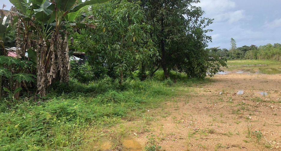 For sale land in Takua Pa, Phang Nga