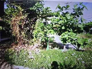 For sale land in Phra Pradaeng, Samut Prakan