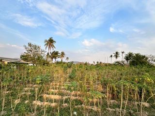 À vendre terrain à Si Racha, Chonburi