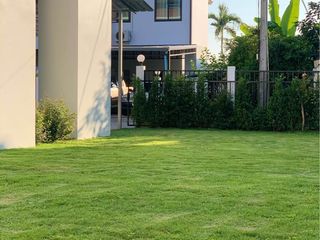 For rent 4 bedrooms house in San Sai, Chiang Mai
