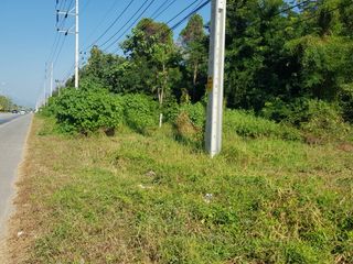For rent and for sale land in Mueang Uttaradit, Uttaradit