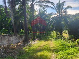 For sale land in Mueang Krabi, Krabi