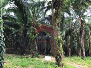 For sale land in Mueang Krabi, Krabi