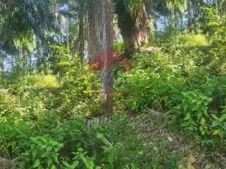 For sale land in Mueang Krabi, Krabi