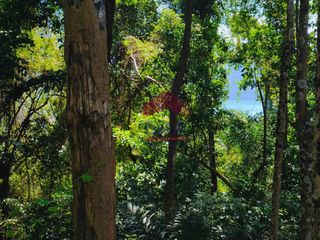 For sale land in Mueang Krabi, Krabi