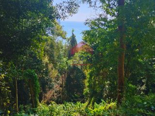 For sale land in Mueang Krabi, Krabi