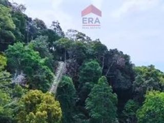 For sale land in Mueang Krabi, Krabi