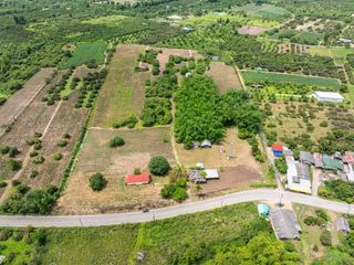 For sale land in Doi Lo, Chiang Mai