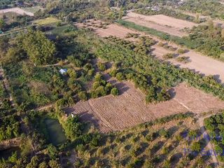 For sale land in Doi Lo, Chiang Mai