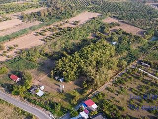 For sale land in Doi Lo, Chiang Mai
