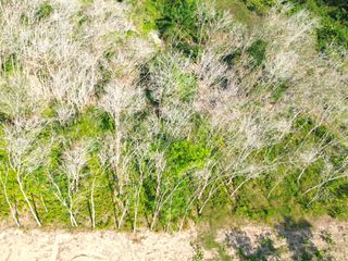 For sale land in Takua Thung, Phang Nga
