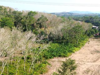 For sale land in Takua Thung, Phang Nga