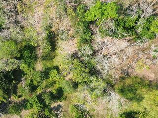 For sale land in Takua Thung, Phang Nga