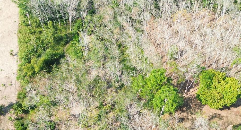 For sale land in Takua Thung, Phang Nga