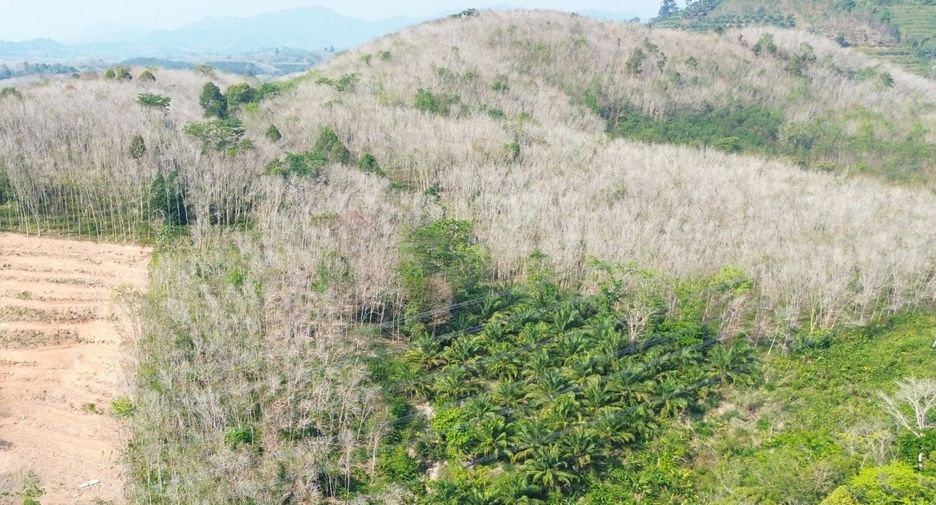 For sale land in Takua Thung, Phang Nga