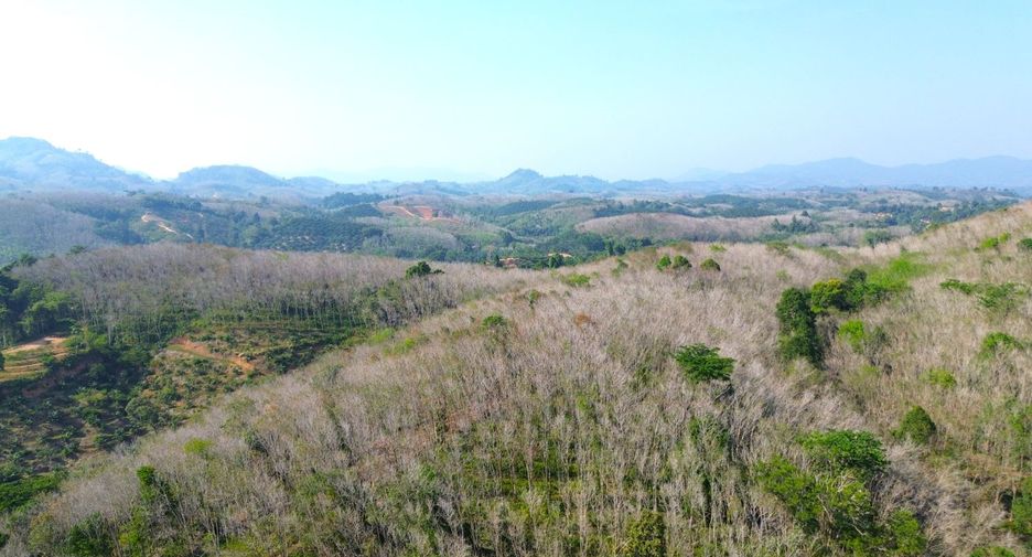 For sale land in Takua Thung, Phang Nga