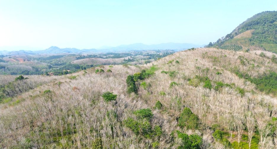 For sale land in Takua Thung, Phang Nga