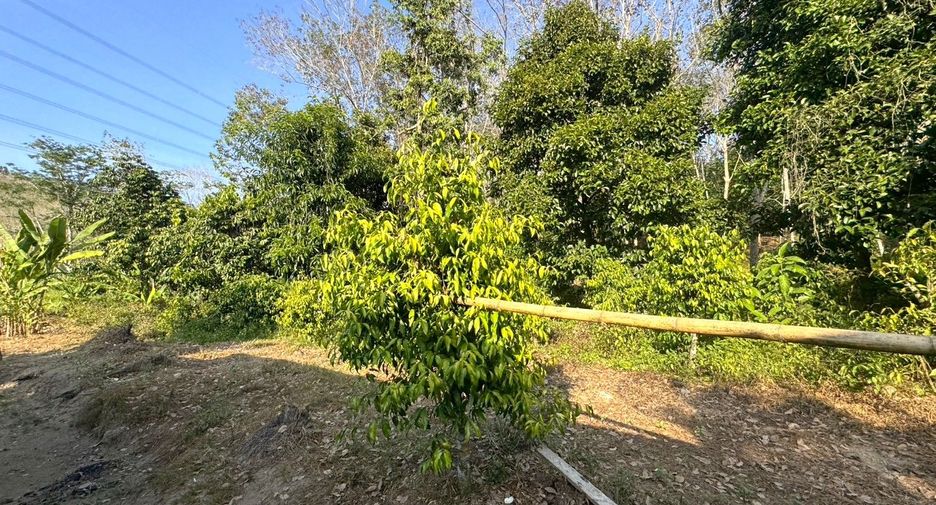 For sale land in Takua Thung, Phang Nga