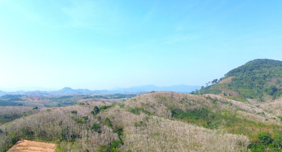 For sale land in Takua Thung, Phang Nga