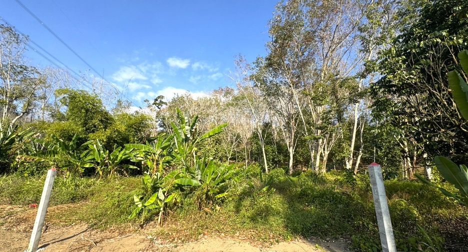 For sale land in Takua Thung, Phang Nga