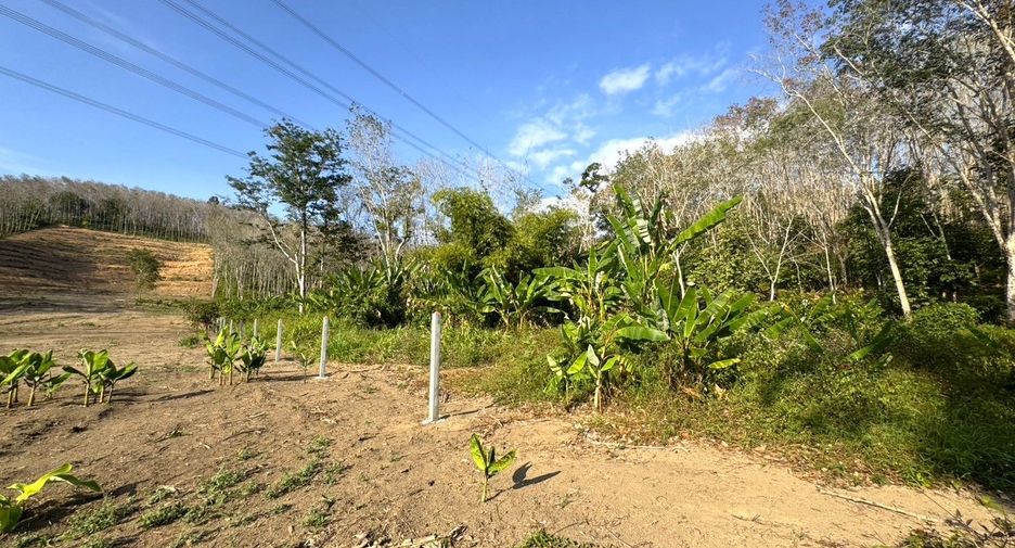 For sale land in Takua Thung, Phang Nga