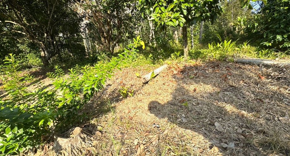 For sale land in Takua Thung, Phang Nga