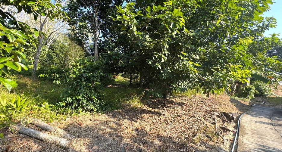 For sale land in Takua Thung, Phang Nga