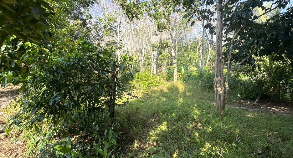 For sale land in Takua Thung, Phang Nga