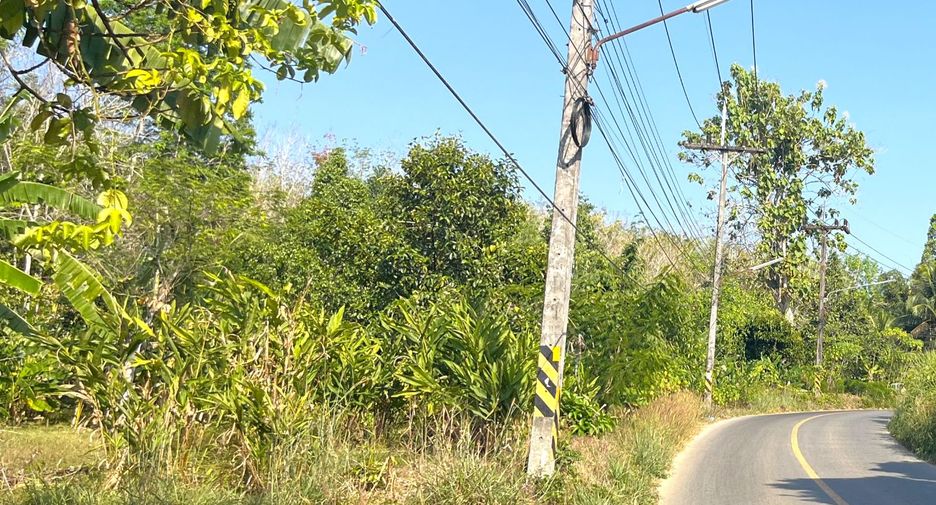 For sale land in Takua Thung, Phang Nga