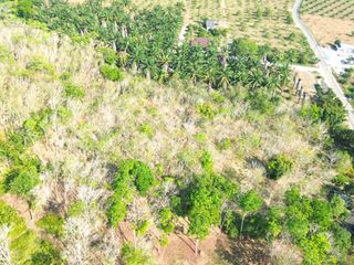 For sale land in Takua Thung, Phang Nga