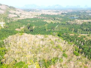 For sale land in Takua Thung, Phang Nga