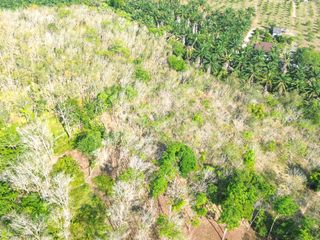 For sale land in Takua Thung, Phang Nga