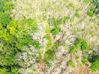 For sale land in Takua Thung, Phang Nga