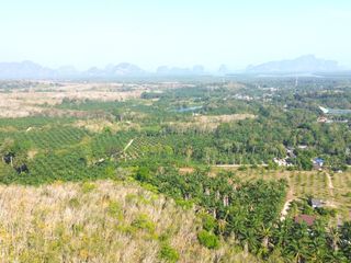 For sale land in Takua Thung, Phang Nga