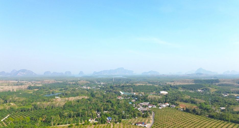 Grundstück zum Kauf in Takua Thung, Phang Nga