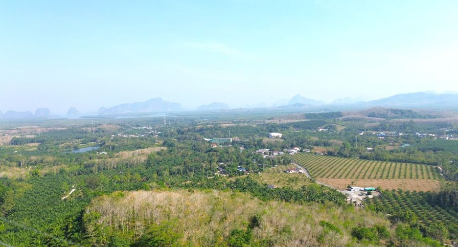 Grundstück zum Kauf in Takua Thung, Phang Nga