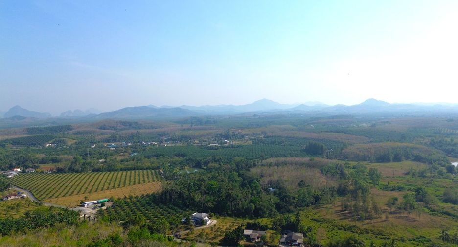 Grundstück zum Kauf in Takua Thung, Phang Nga