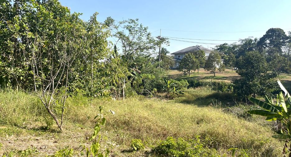 Grundstück zum Kauf in Takua Thung, Phang Nga