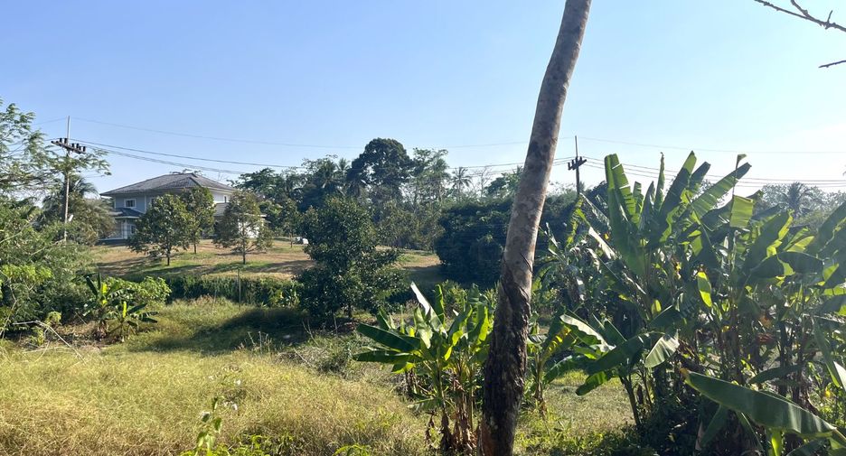 Grundstück zum Kauf in Takua Thung, Phang Nga