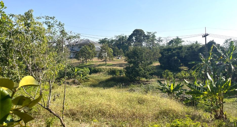 Grundstück zum Kauf in Takua Thung, Phang Nga