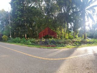 For sale land in Mueang Krabi, Krabi