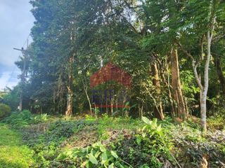 For sale land in Mueang Krabi, Krabi