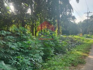 For sale land in Mueang Krabi, Krabi