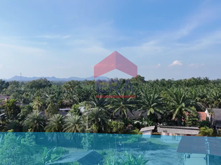 For sale land in Lam Thap, Krabi