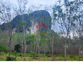 For sale land in Mueang Krabi, Krabi